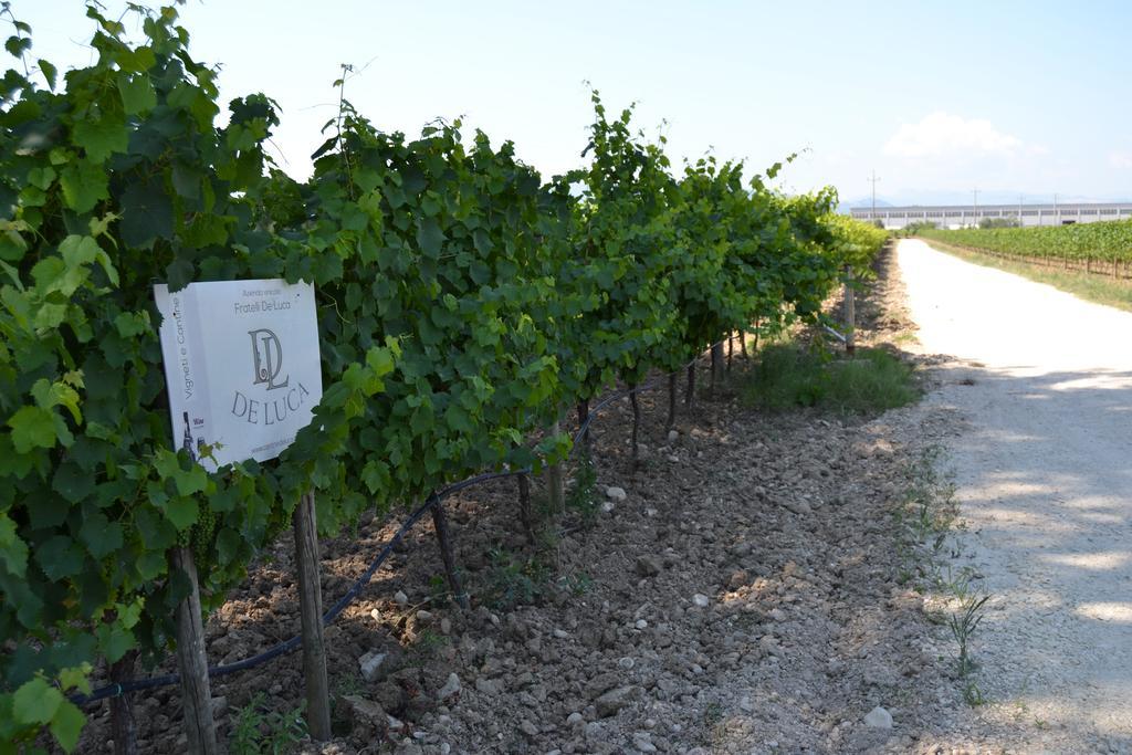 Agriturismo De Luca Mozzagrogna ภายนอก รูปภาพ