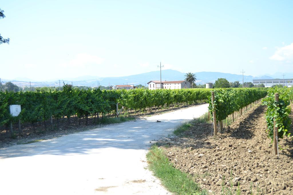 Agriturismo De Luca Mozzagrogna ภายนอก รูปภาพ