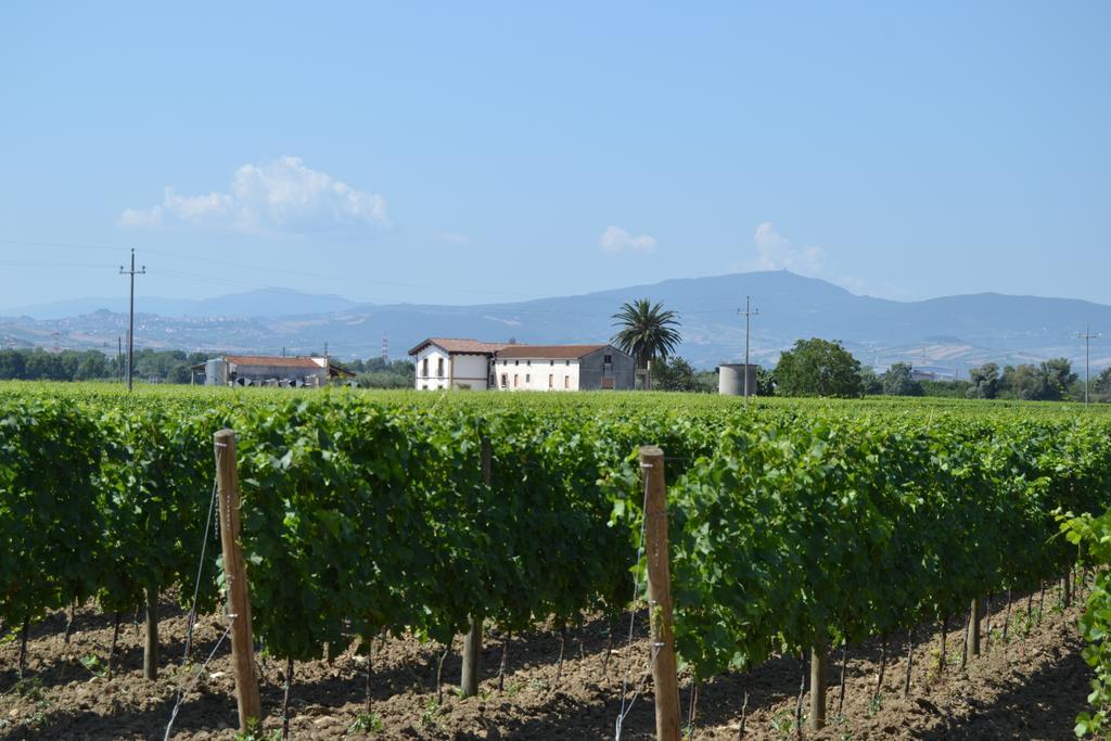 Agriturismo De Luca Mozzagrogna ภายนอก รูปภาพ